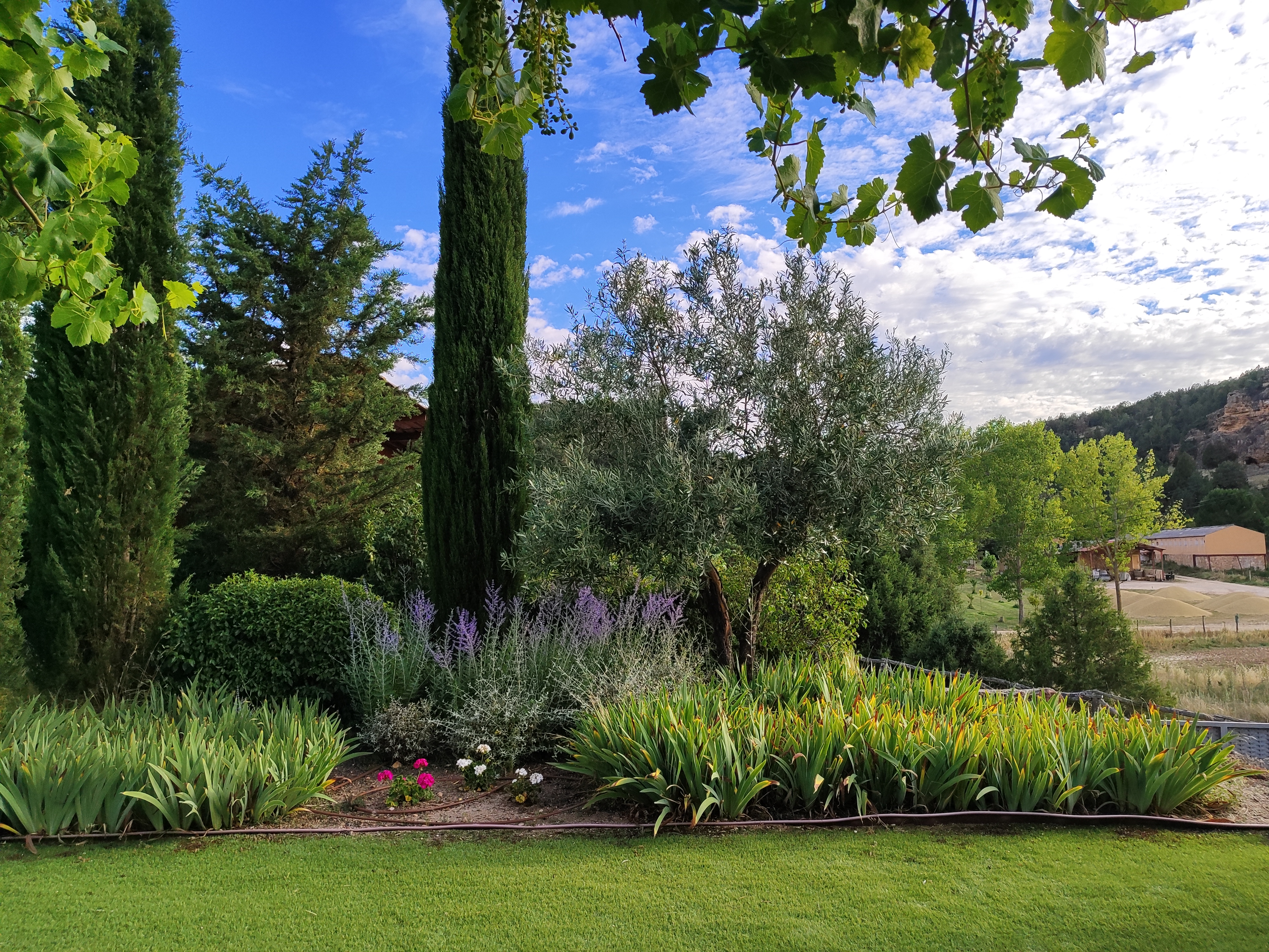 Jardín para la Casa A-B en Tierras de Segovia